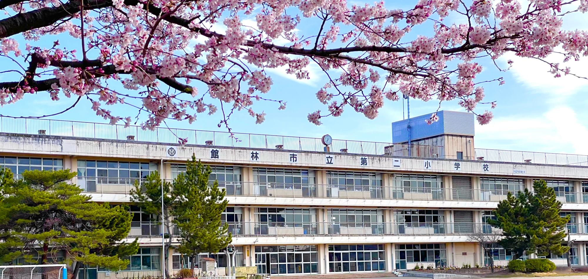 第二小学校校舎と桜の画像
