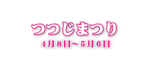 つつじまつりのアニメーションの画像