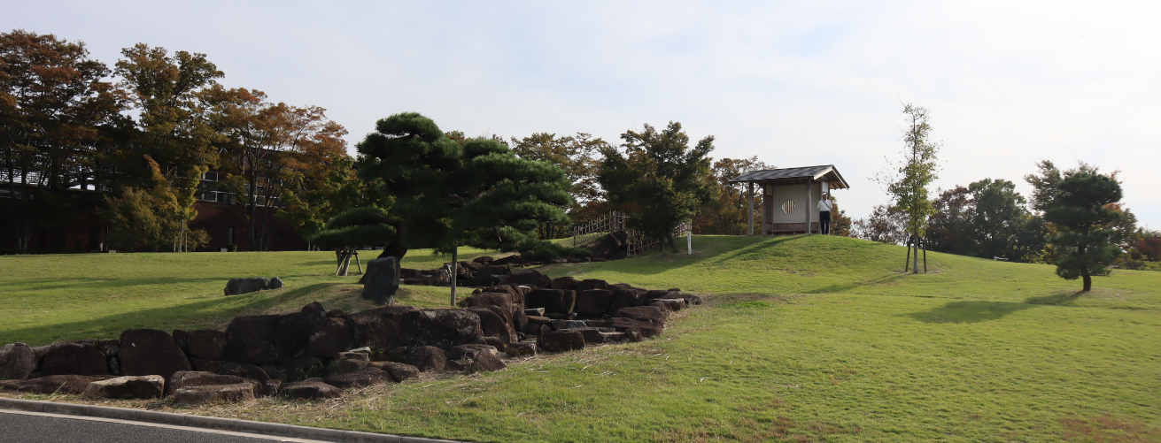 の画像