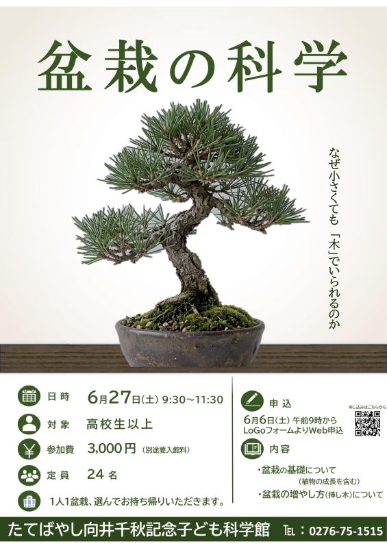 0627bonsai.jpg
