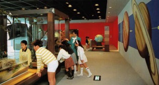 動物の繁殖・植物の成長のしるしの画像