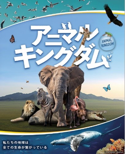 animalkingdom.jpg