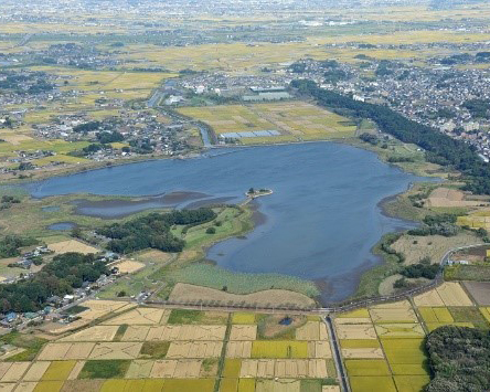多々良沼の写真