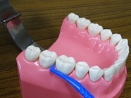 歯間ブラシの写真