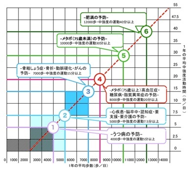 研究成果のグラフの画像