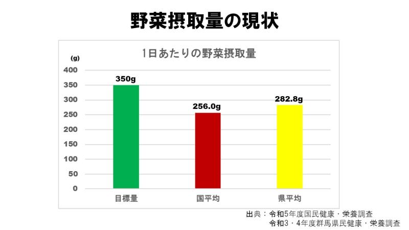 野菜摂取の現状（写真）