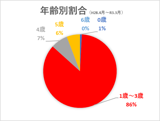 年齢別割合の円グラフ