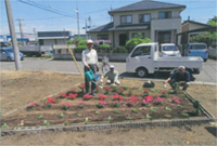 上赤生田草花クラブの活動写真