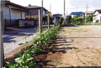 美園ラジオ体操会の活動写真