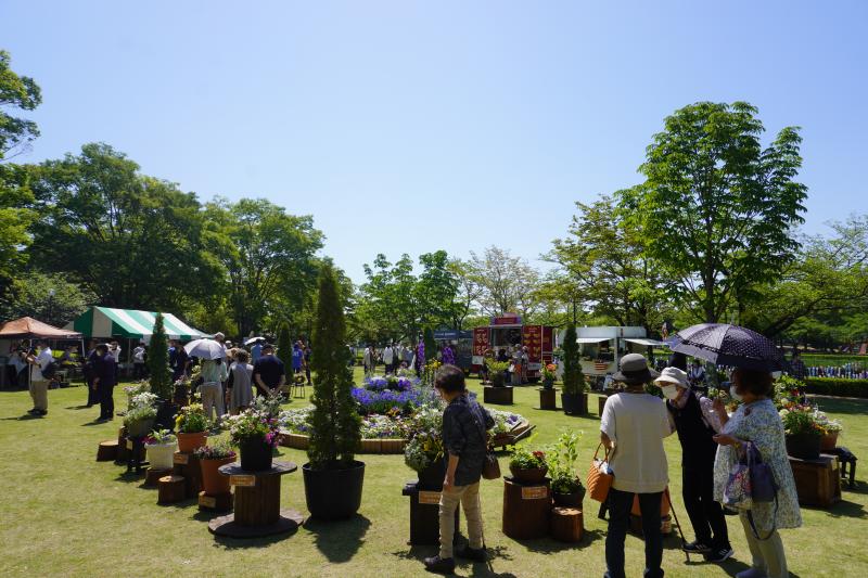 花と緑のフェスティバル会場の様子.JPG
