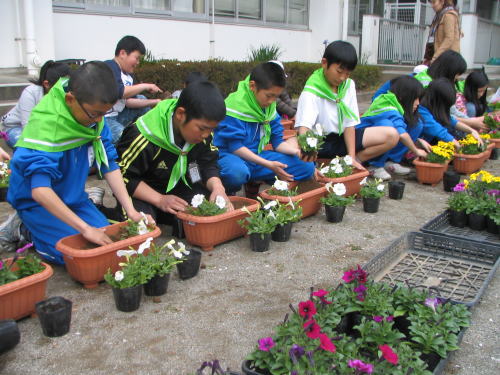 子どもたちが植栽をする様子の写真