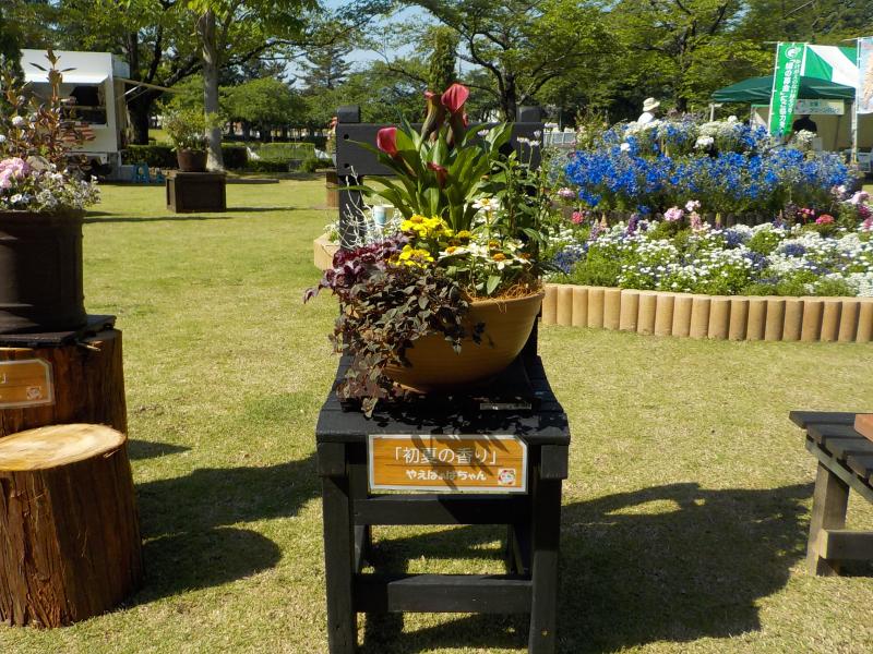 寄せ植えの写真