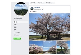 公園情報発信（SNS）