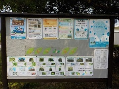 公園情報発信（掲示板）