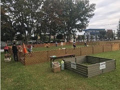 小動物とのふれあい2