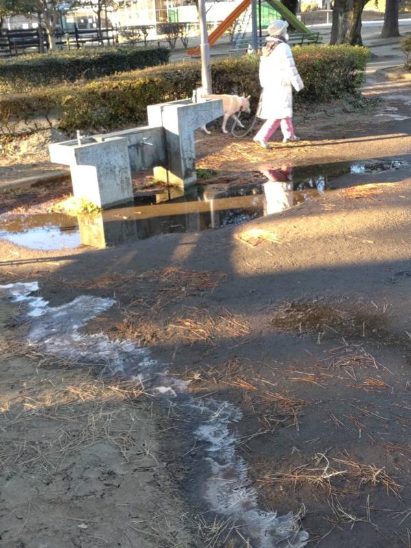 一晩中、水道が出しっぱなしにされており、 グチャグチャになった地面の画像