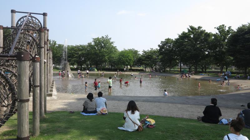 近藤沼公園のジャブジャブ池の画像