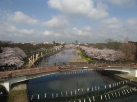 ふれあい橋の画像