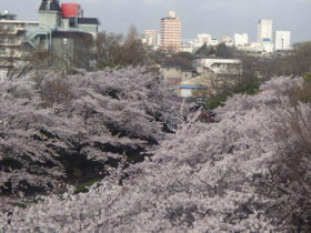 鶴生田川の画像