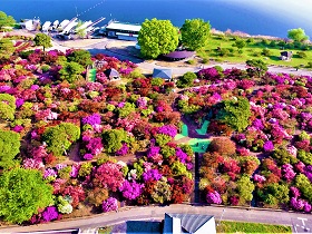 名勝「躑躅ケ岡」（旧公園の空撮）の画像