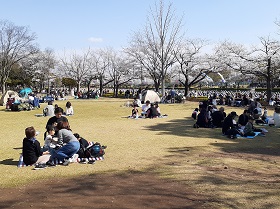 陽だまりの広場の画像