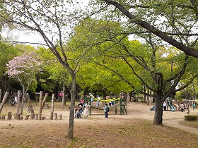 トリムコースの画像