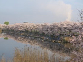 桟橋の画像