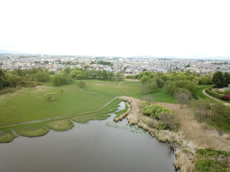 茂林寺沼及び低地湿原