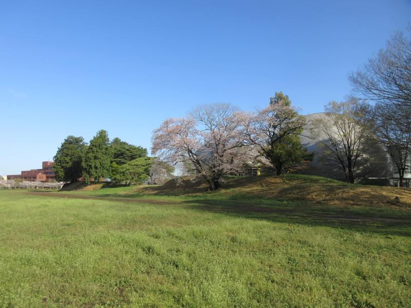 館林城本丸土塁および八幡宮