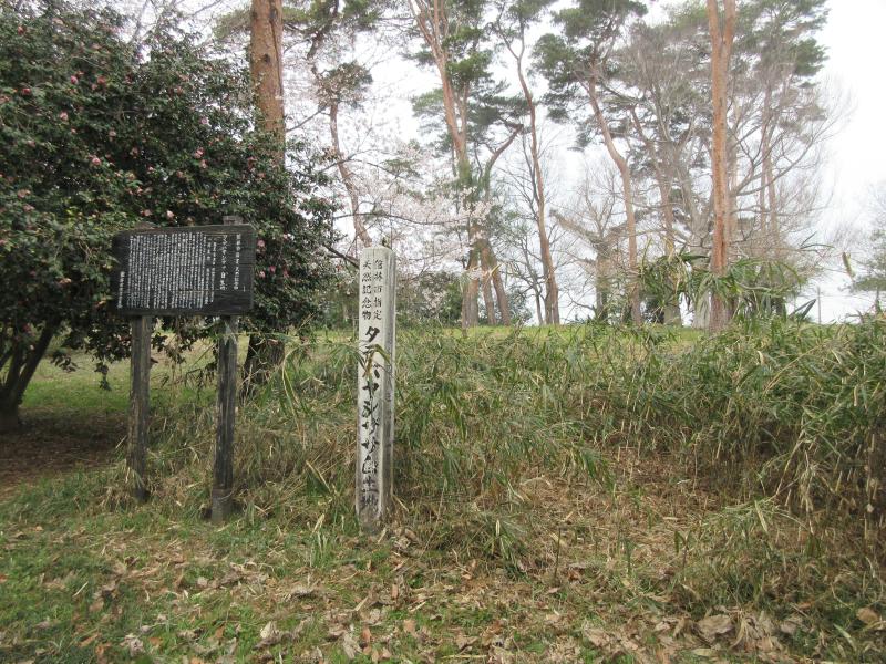 タテバヤシザサ自生地