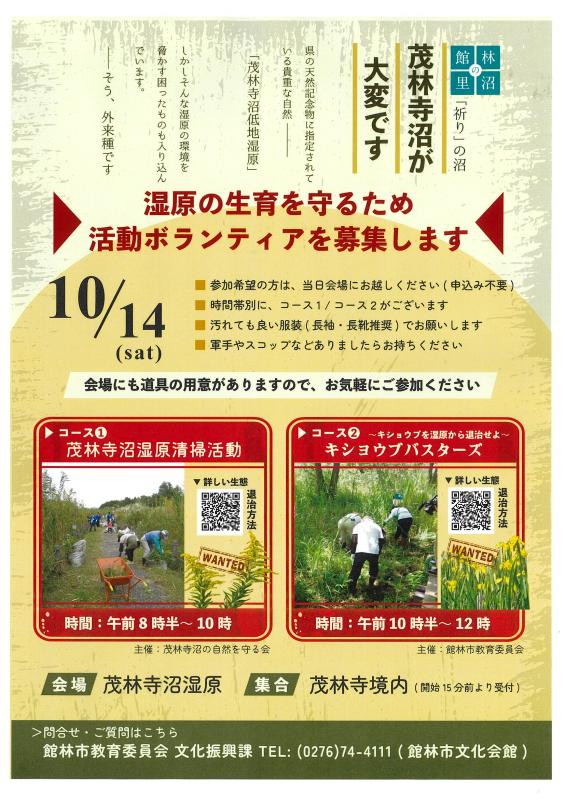 202310 清掃活動、キショウブバスターズ