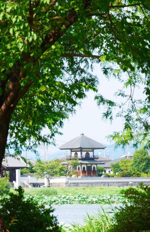 城沼の写真