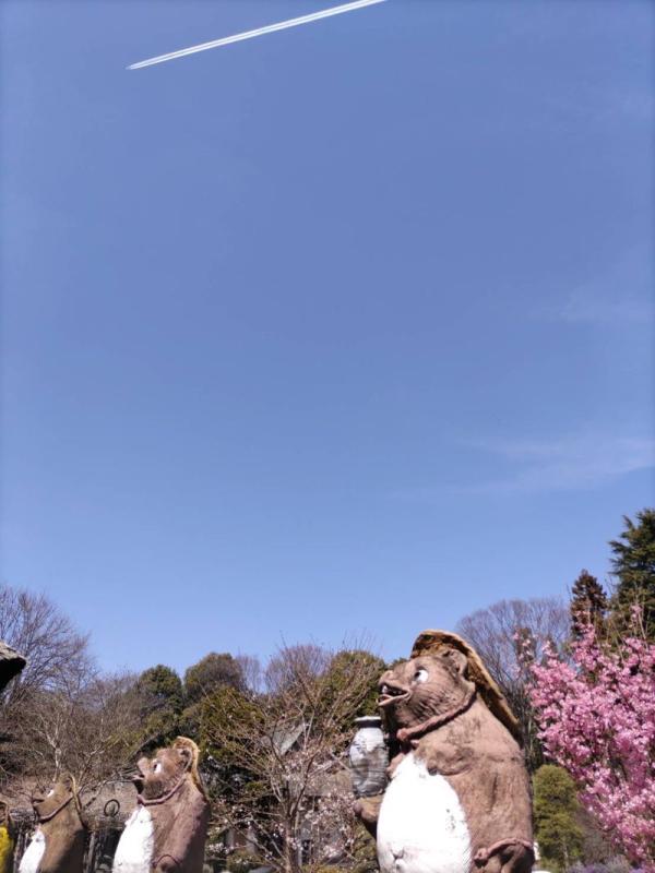 たぬき像と空の写真