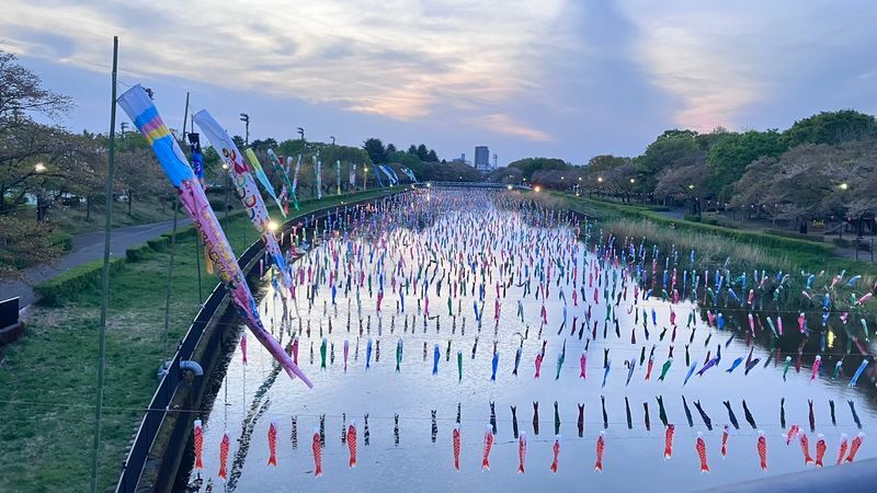 鯉のぼりの写真