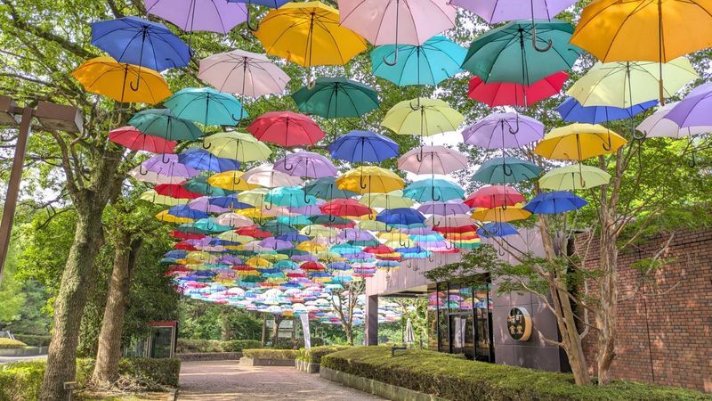 アンブレラスカイの写真