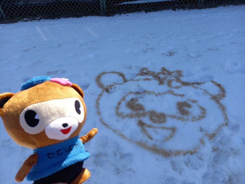 雪とぽんちゃんの写真