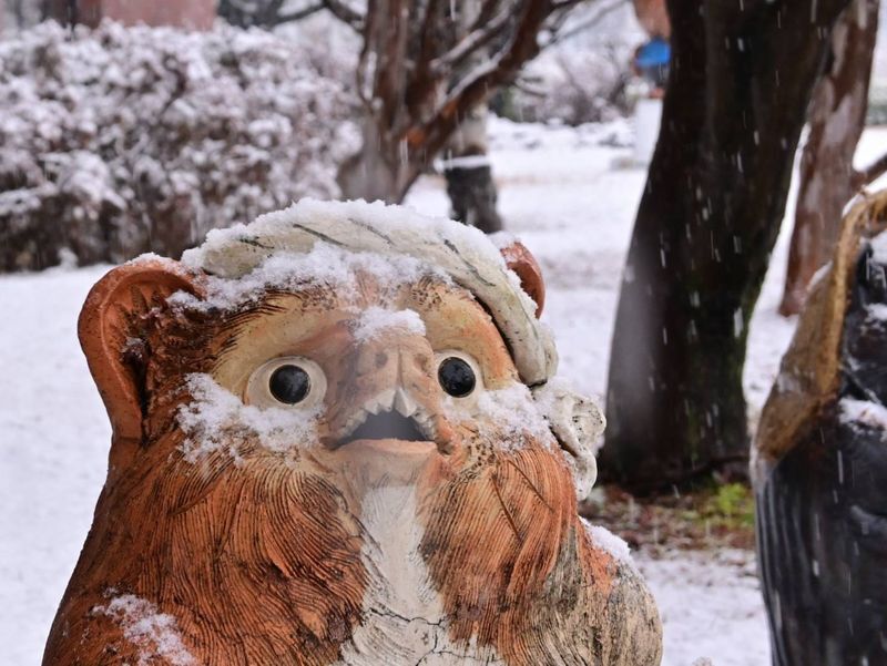 雪とたぬき像