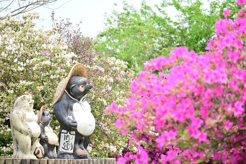 つつじとたぬき像