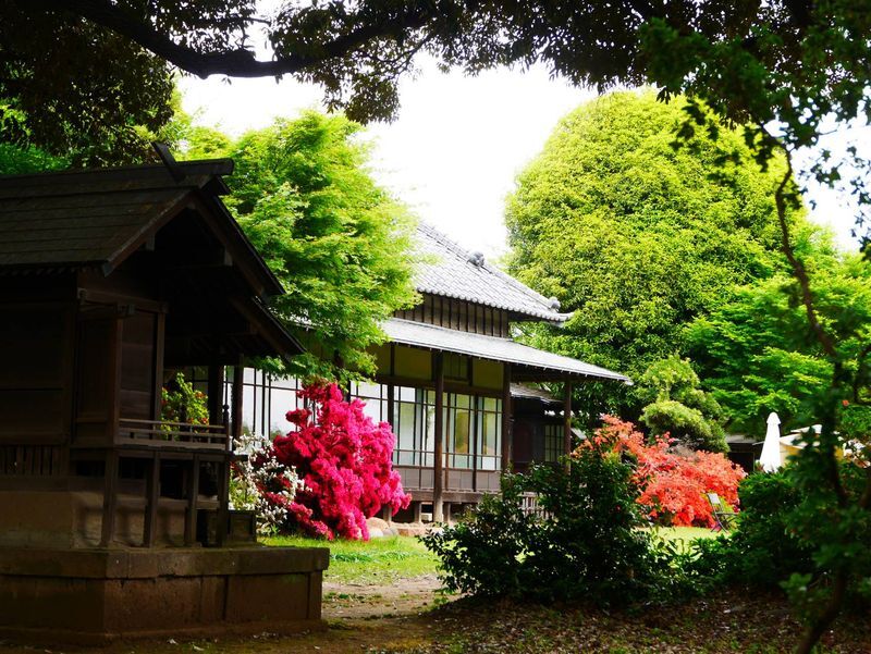 秋元別邸の写真