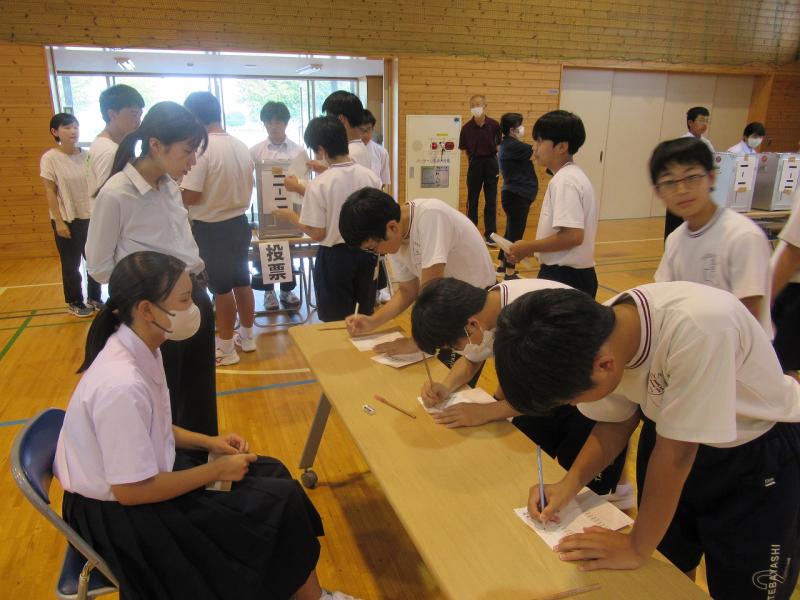 生徒会選挙