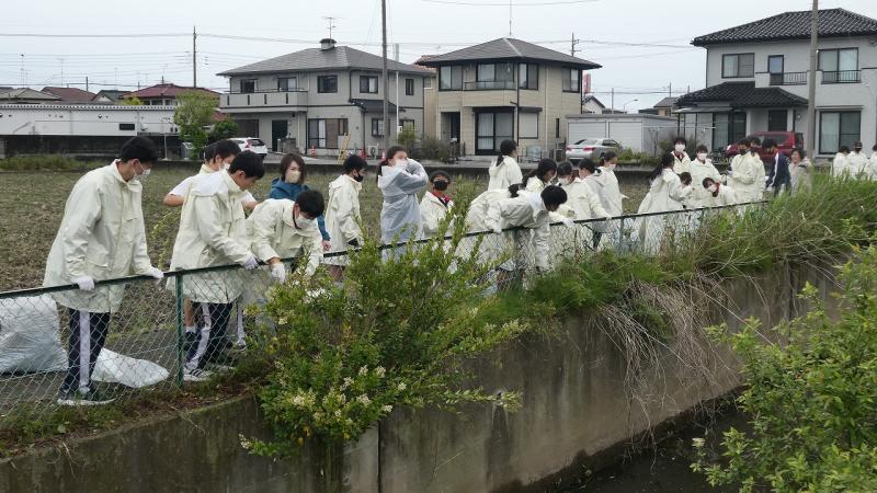 加法師川の清掃