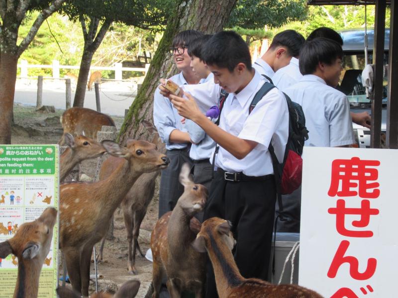 修学旅行