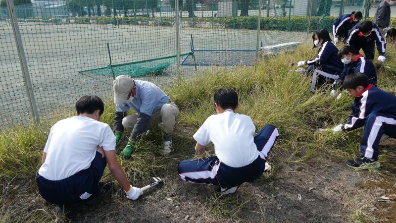 草取り