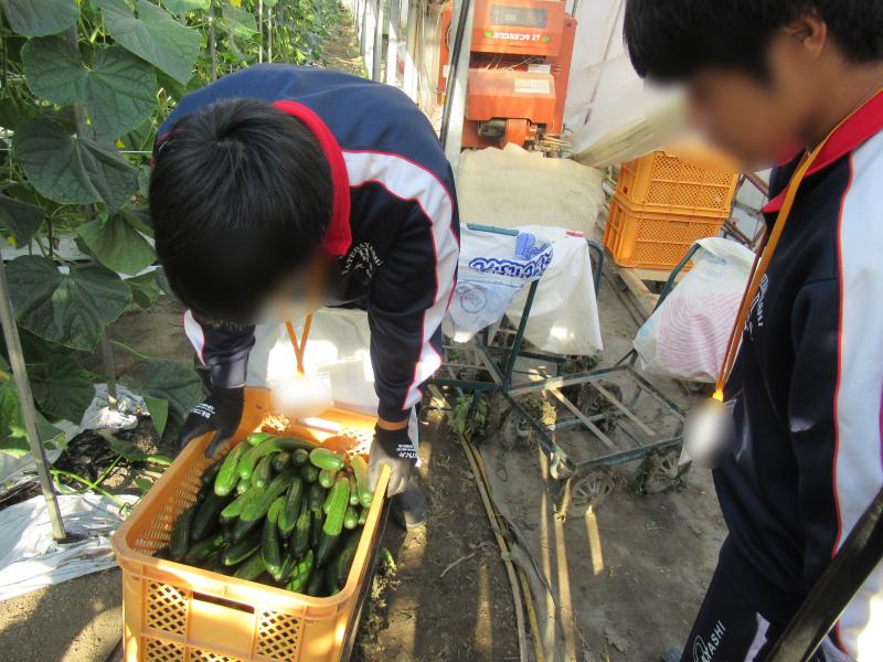 職場体験１２