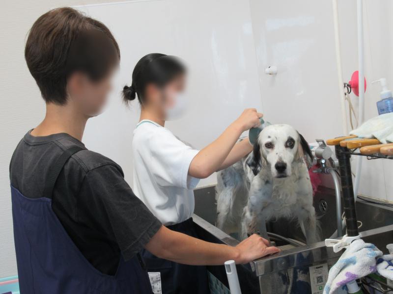 職場体験１７