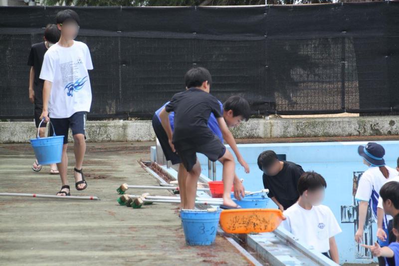 2025.06.12.Pool02.jpg