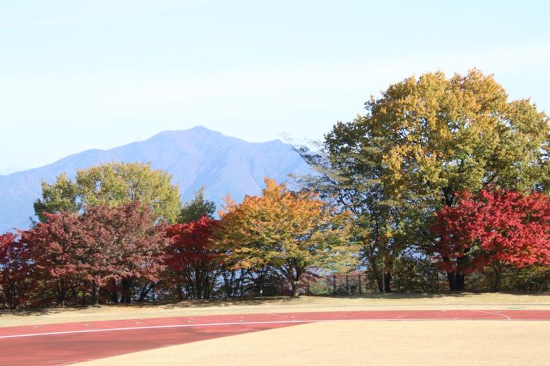 2025.11.08.Ekiden14.JPG