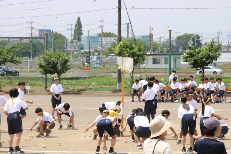2025.05.15.1NenTaiiku21.jpg