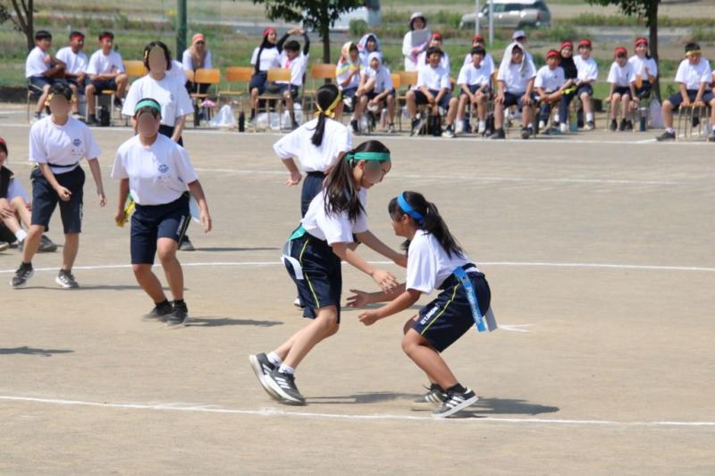 2026.05.13.1Shippo01.jpg