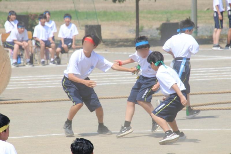 2026.05.13.1Shippo07.jpg